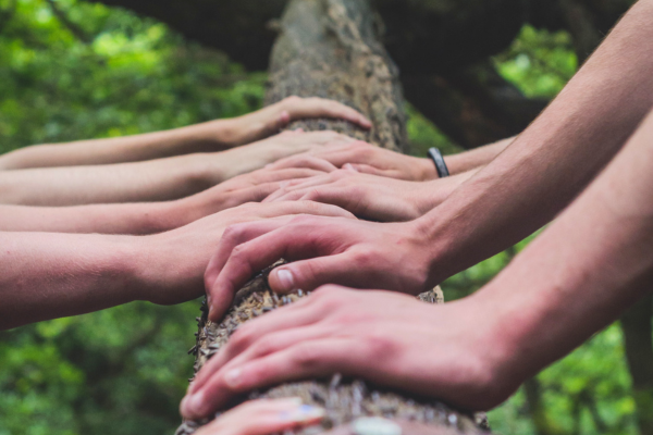 Many people holding hands on tree trunk.